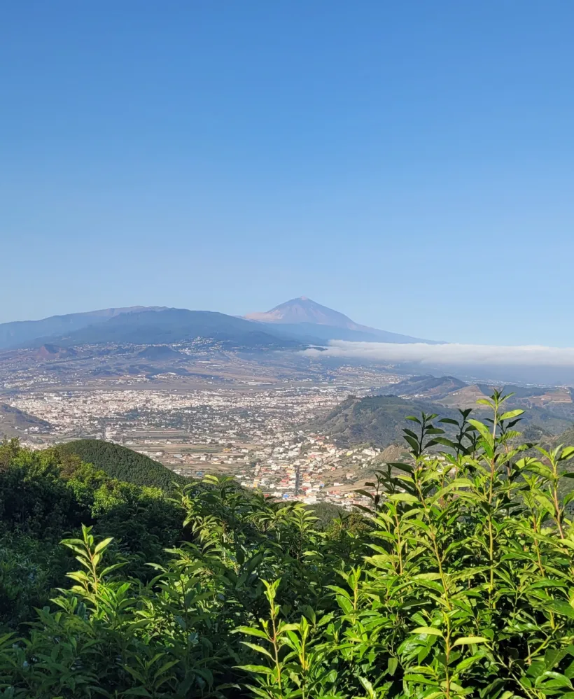 Anaga Cruz del Carmen