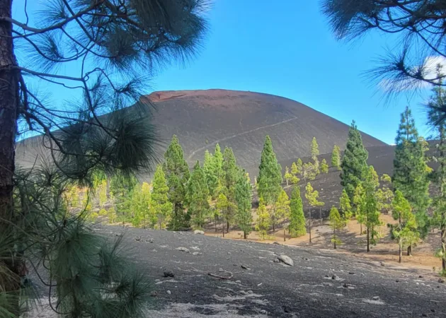 Arenas Negras Volcan Garachico