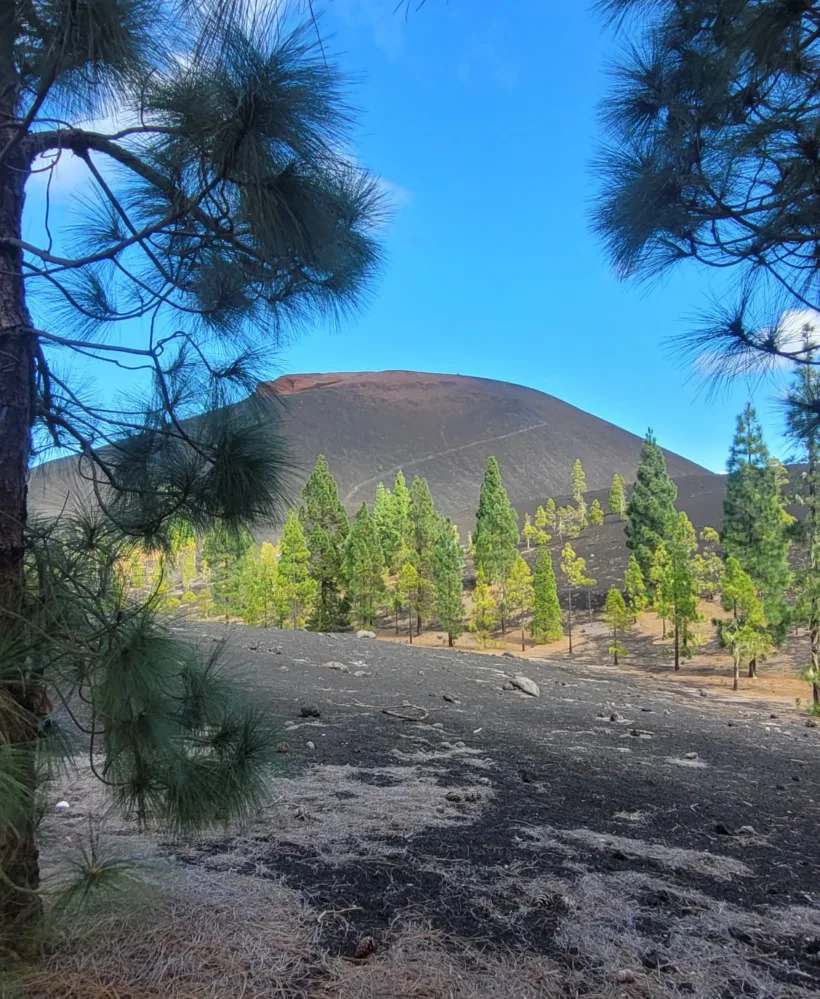 Arenas Negras Volcan Garachico