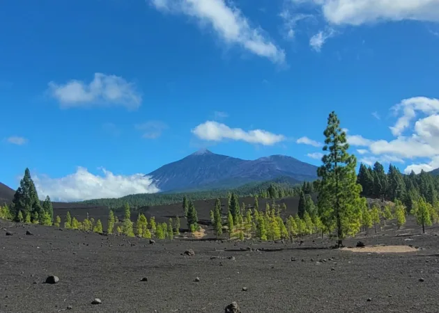 Arenas Negras Volcan Garachico