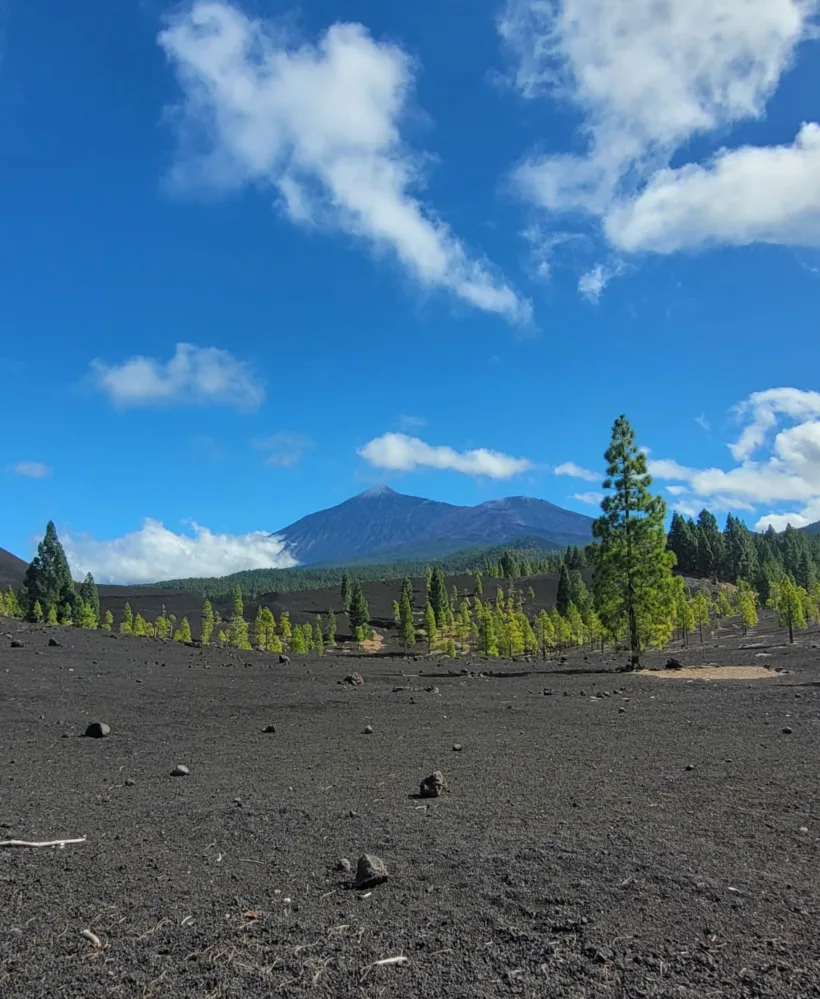 Arenas Negras Volcan Garachico