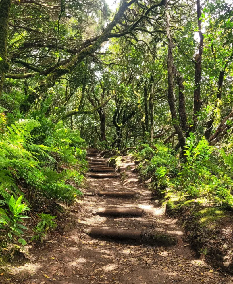 Anaga - Cruz del Carmen
