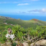 Parque Rural Teno