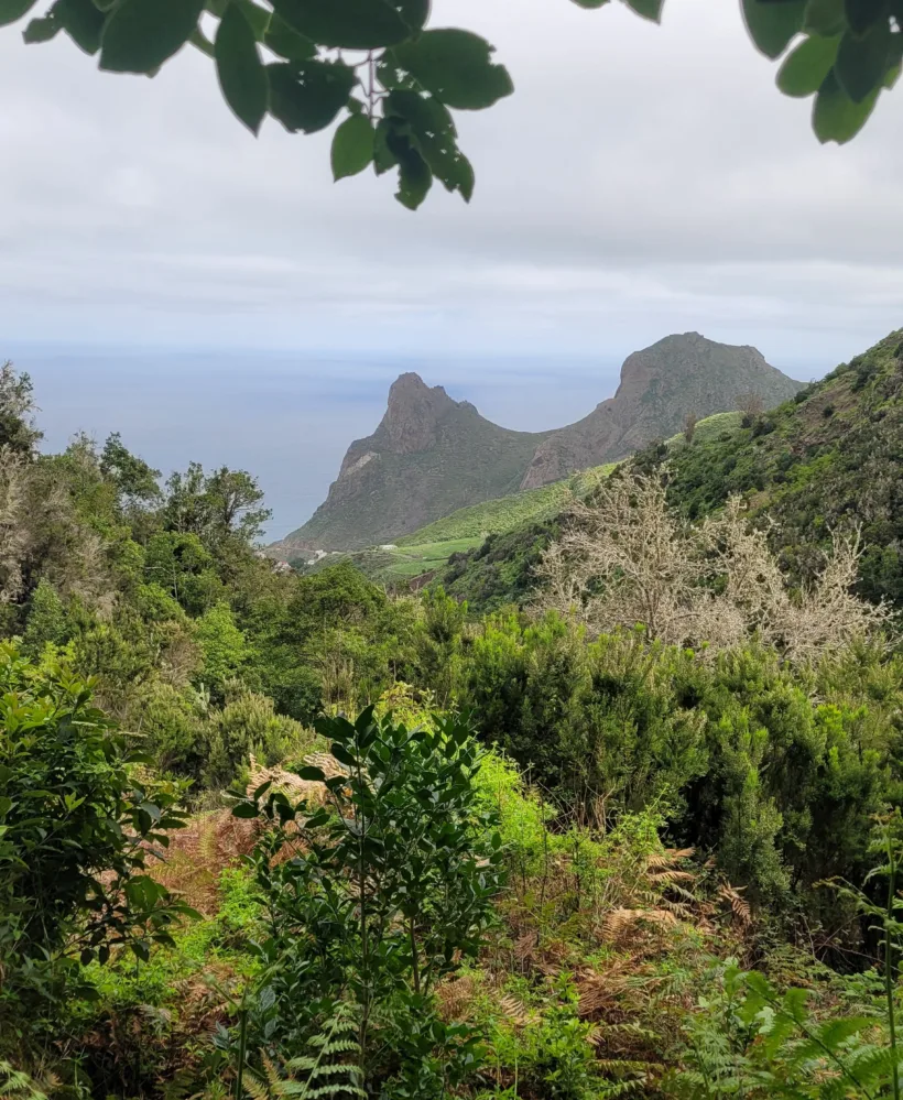Anaga Taganana La Vuelta