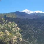 Volcán Chinyero