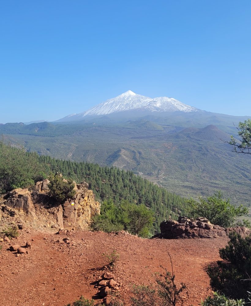 Teno Erjos