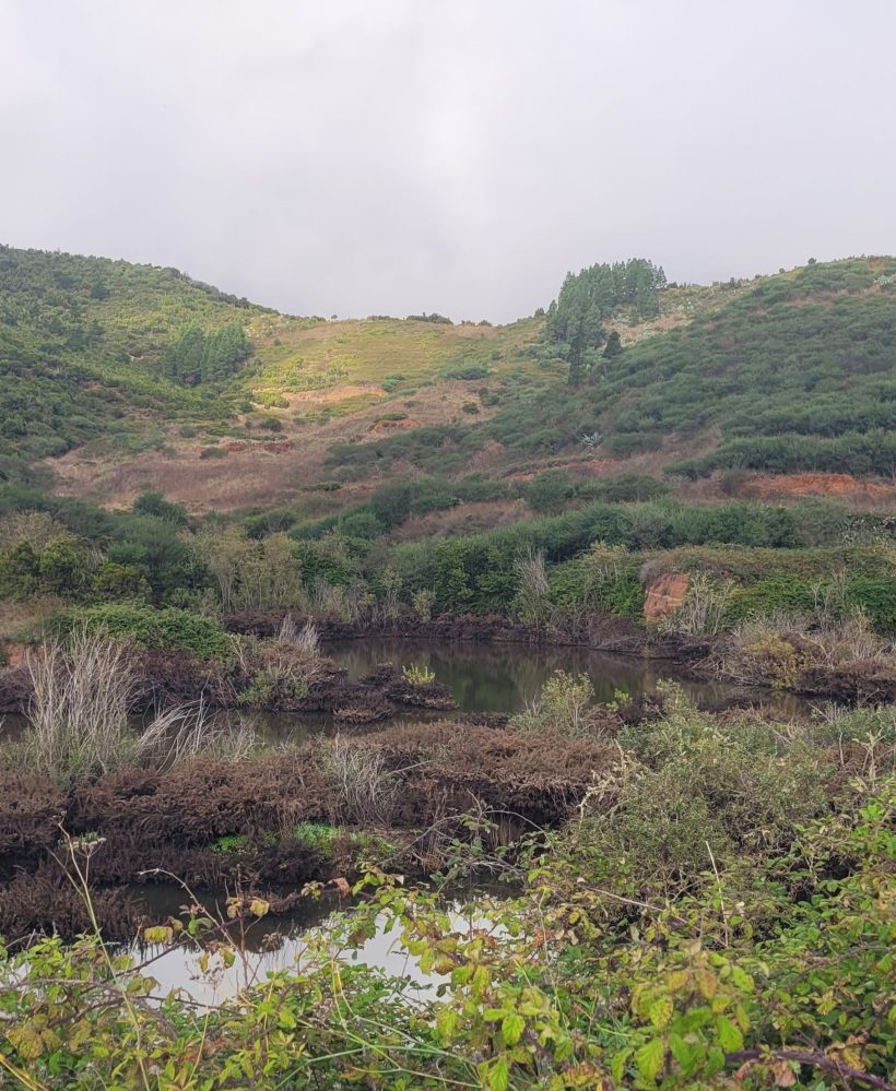 Teno Erjos