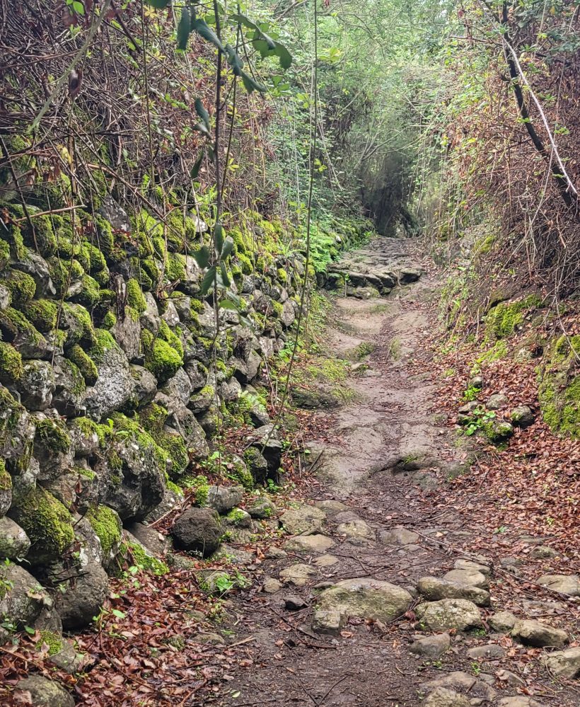 Teno Erjos