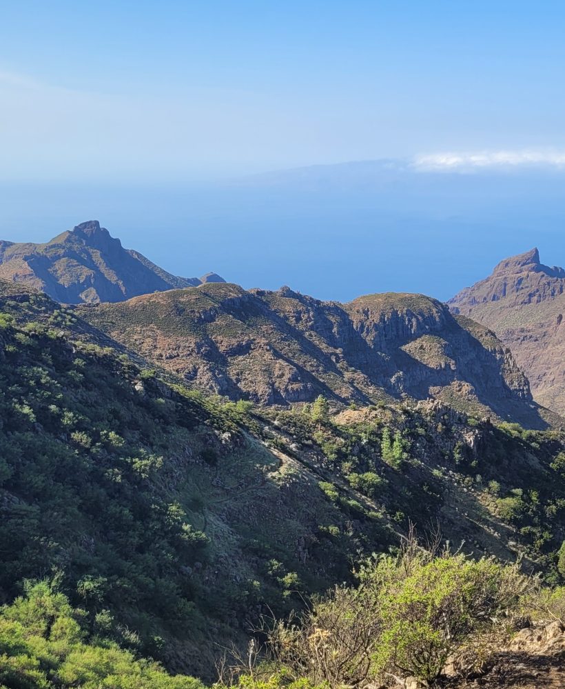 Teno Erjos